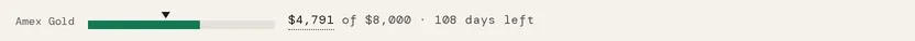 A sign-up bonus line under a program row: the card name, a meter with a pace tick, and the readout of spend counted against the $8,000 target with the days left