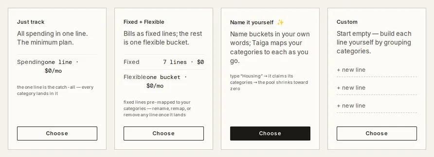 The four starting-point cards side by side, Just track, Fixed + Flexible, Name it yourself, and Custom, each with its description and a Choose button